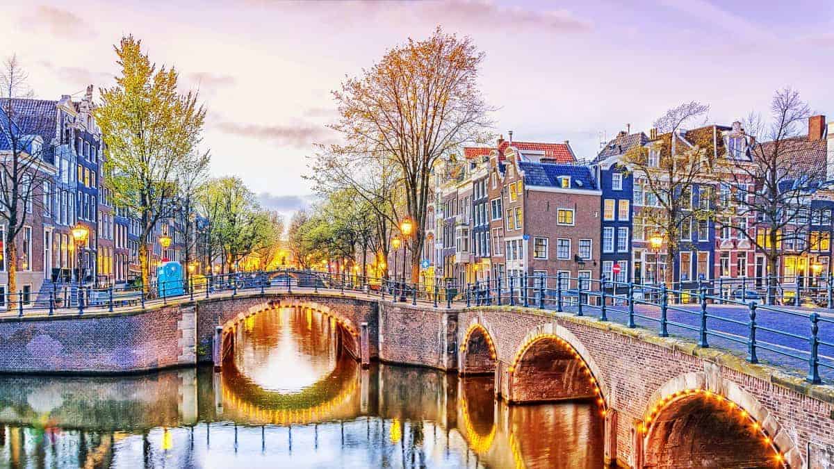 Hollanda Üniversite