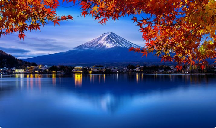 Japonya Üniversite